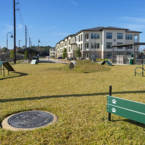 We love our furry friends a playground in a park