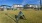 a grassy area with buildings in the background